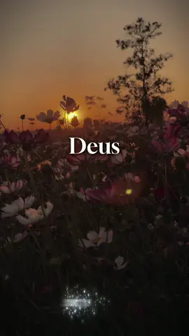 Bom dia, Deus 🙏❤️ #bomdia #sabado #oração #status #finaldesemana 