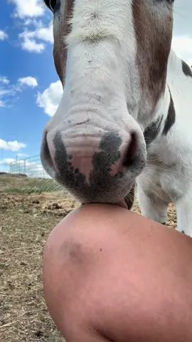 Personal space invader 