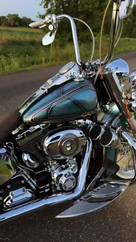 #vicla #harleydavidson #cholostyle #chrome #fyp 
