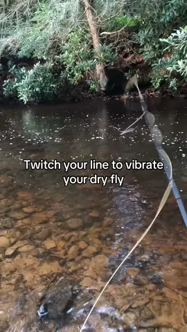 It makes your fly look like it’s a bug flapping its wings trying to escape off the water’s surface. Give it a shot. You’ll be surprised how effective it is. #flyfishing #fishing #dryflyfishing #flyfishingtips #troutfishing 