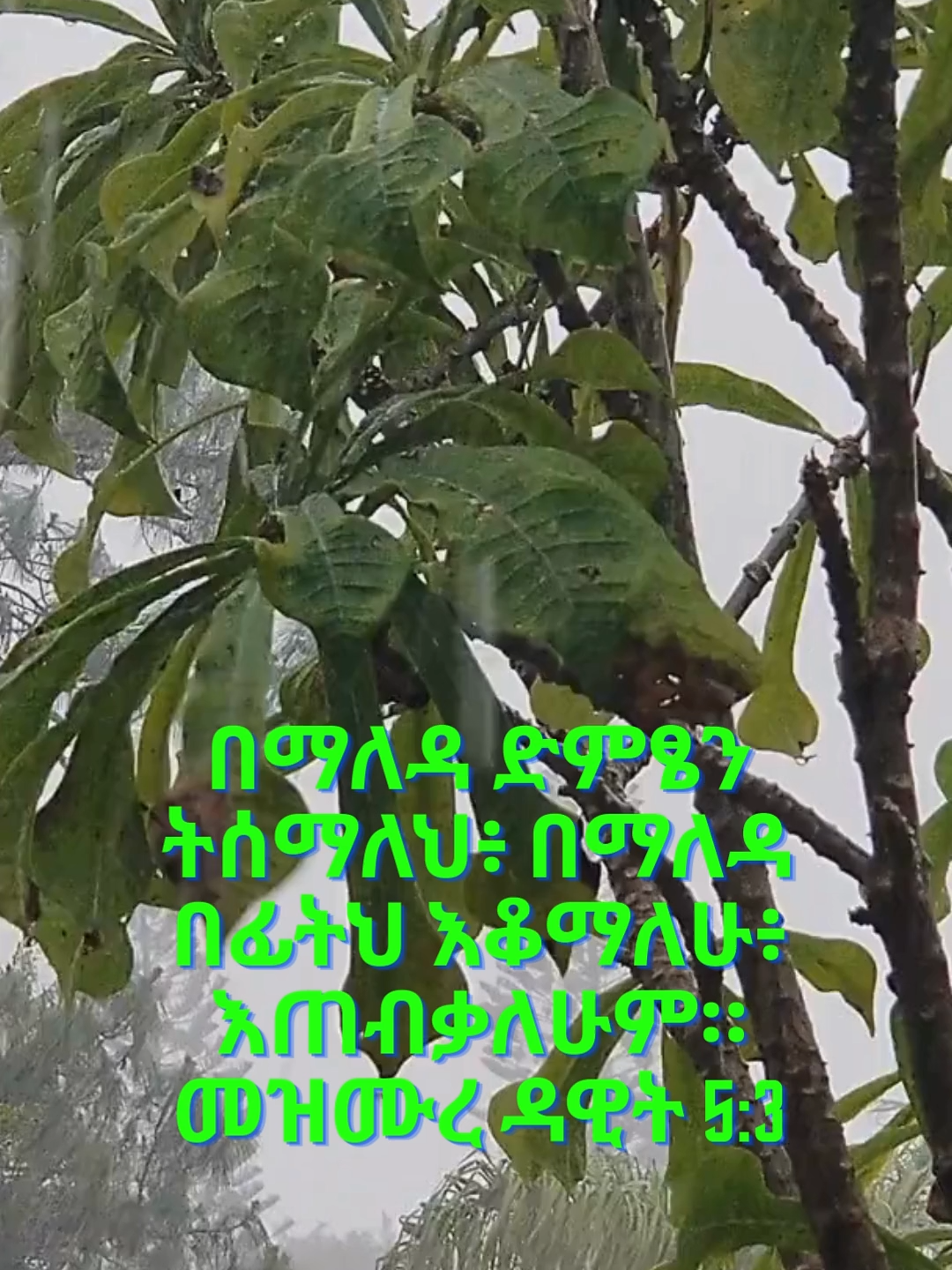 God is good  #foryoupage #godislove #foryou #naturelovers #fyp, #foryou, #viral #foryoupage, #jesus, #god, #christian, #jesuslovesyou, #bible, #christianitytiktok #christianity #jesus #fyp #christiantiktokcomunity #god #bible #Love #faith #christ #foryou