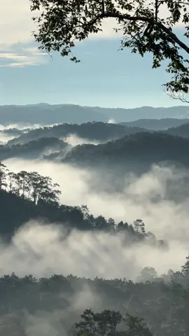 Ta cứ đi tìm.. đi tìm.. 