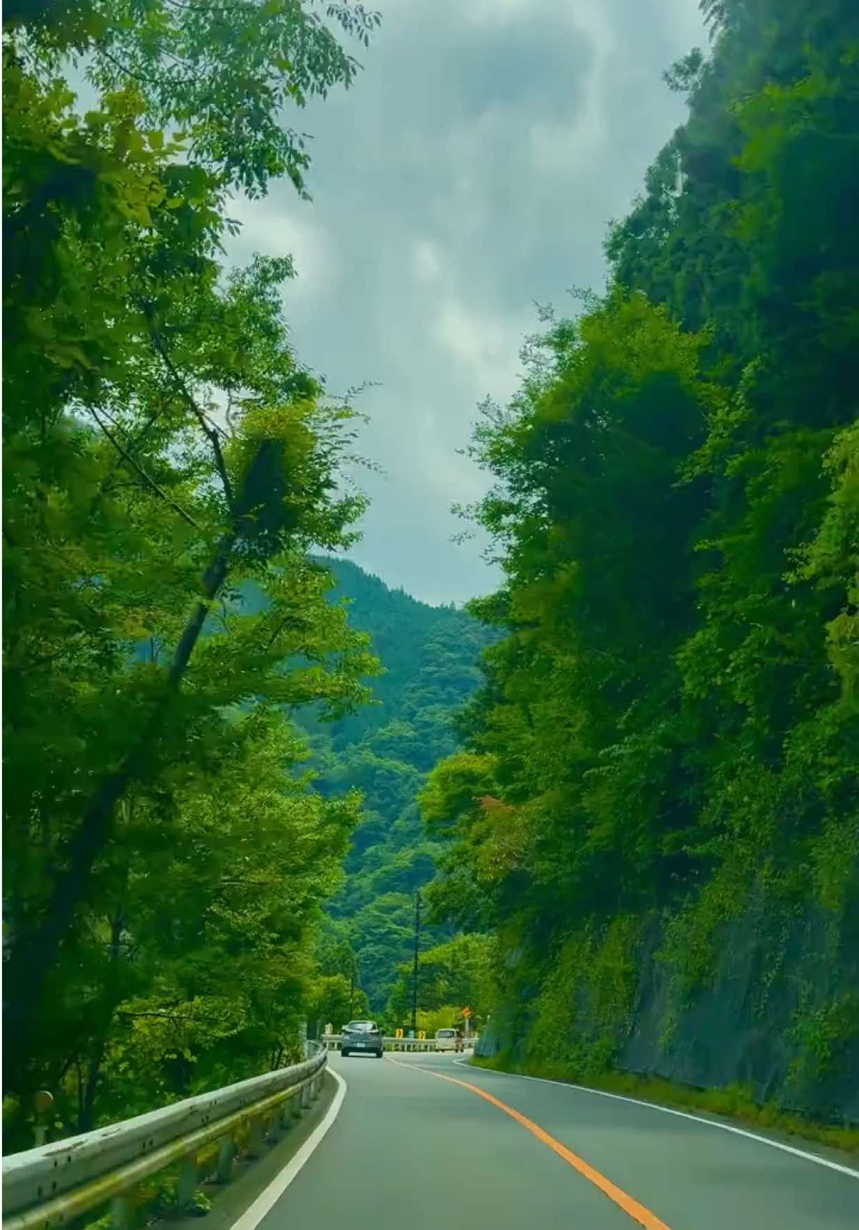#Summer #japan #driving #奥多摩 #scenery 