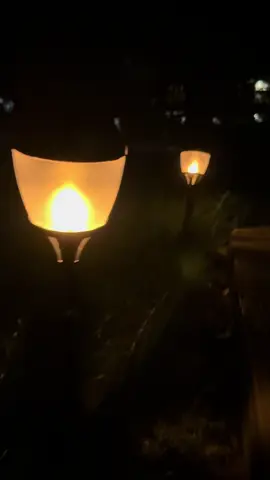 Halloween decorative solar lights are here #solarlights #halloweensolarlights  @STILLCOOL 