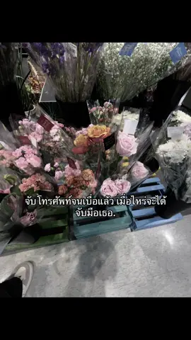 เมื่อไหร่จะได้จับ #ยืมลงสตอรี่ได้ #เธรดเพลง #เเท็กบอกความรู้สึก #เธรดบอกความรู้สึก #เธรดคลั่งรัก 