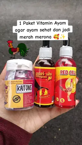1 paket vitamin ayam isi 3 varian #ayambangkoksuper #jamuayam #vitaminayam #redcell #ayam 