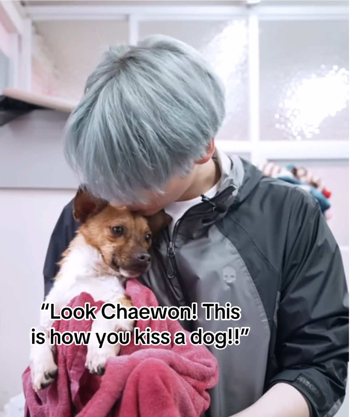 #HUENINGKAI // #CHAEWON thats a VERY interesting way to show affection to your DOG. #tomorrow_x_together #txt #tubatu #hueningkai #kaitxt #moa #ningdungie #lesserafim #chaewon #lesserafimchaewon #fup #viral #fyp #fypシ @lisa ⭑ @ลิซ่า @lisa ⟢ @️ 