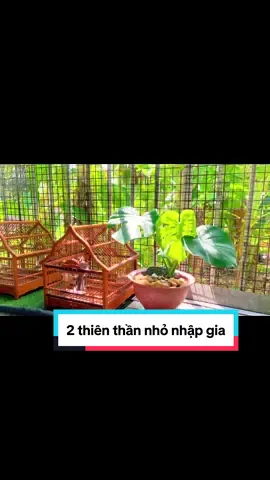 Góc nhỏ dưỡng tâm hồn: Người thật sự sống ung dung, ko phải người có nhiều tiền nhất, mà là người có nhiều dự lựa chọn nhất…