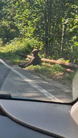 #urs#bearweek 