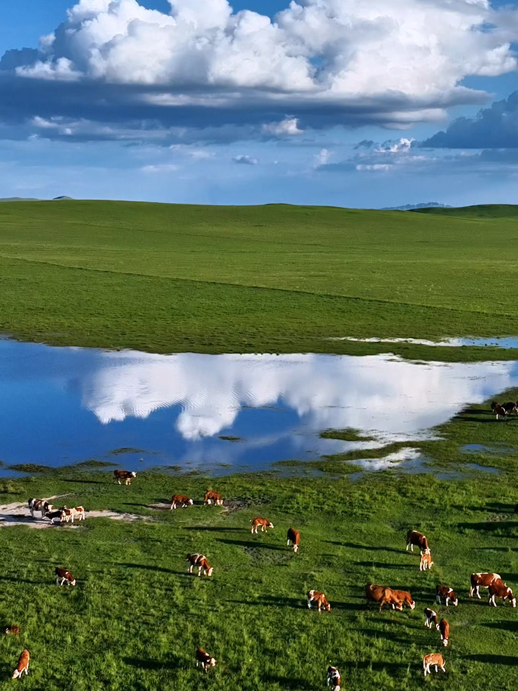 Mood: just chew and chill 🐄😌🌱 #farmlife#naturelove#viral#trendingvideo