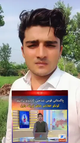 #por #unchr #afghan #usa_tiktok 