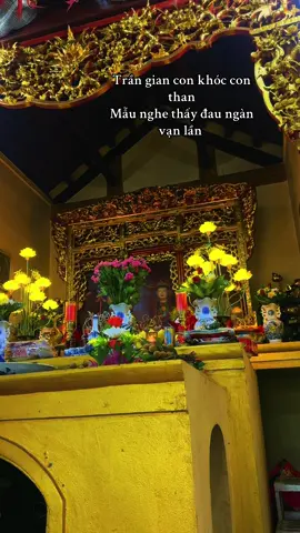 Hôm nay mùng 1, Cậu đang làm gì..
