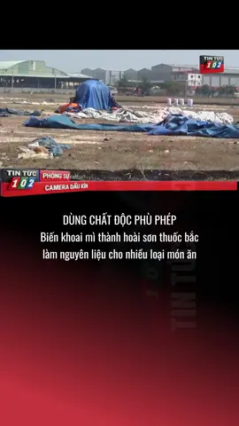 @tinnhanh102PHÓNG SỰ: Theo chân phóng viên Dùng chất độc phù phép biến Củ mì Thành Hoài sơn thuốc đông y #tinnhanh102 #thinhhanh #fyp #tinmoi #thoisu #tintuctrongngay #trend 