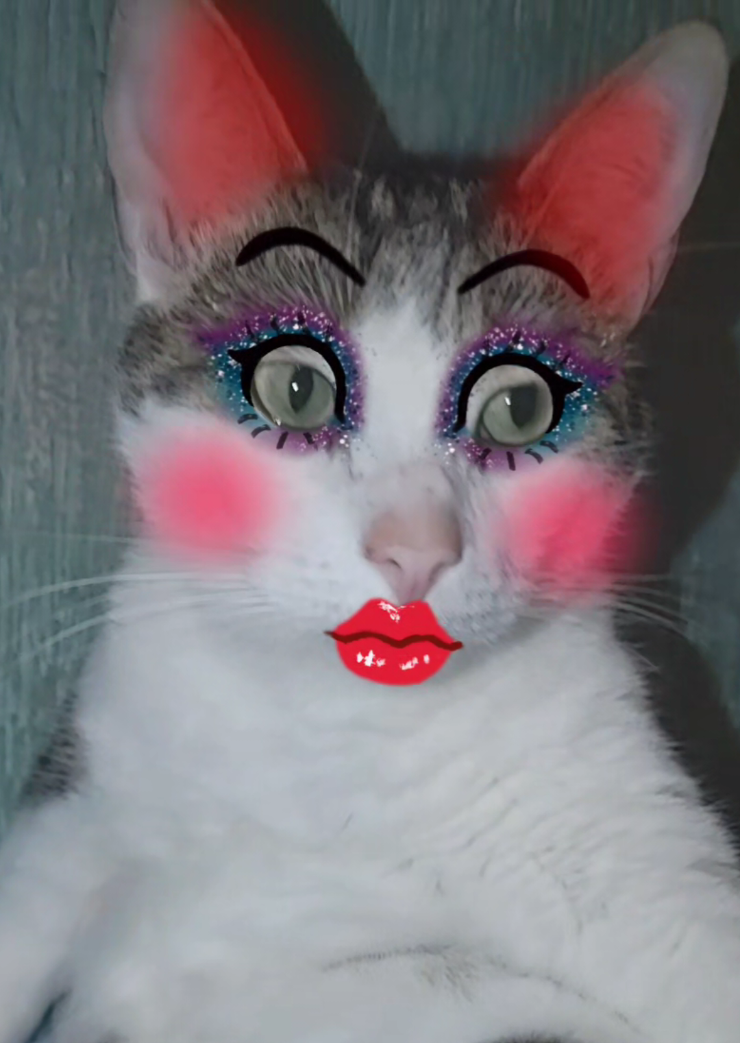 #contenido #dúo #noflop #god #gatos #sillycat #catslovers #gato #gatostiktok #michi #cats #mascotastiktok #Viral #fouryourpage #fyp 
