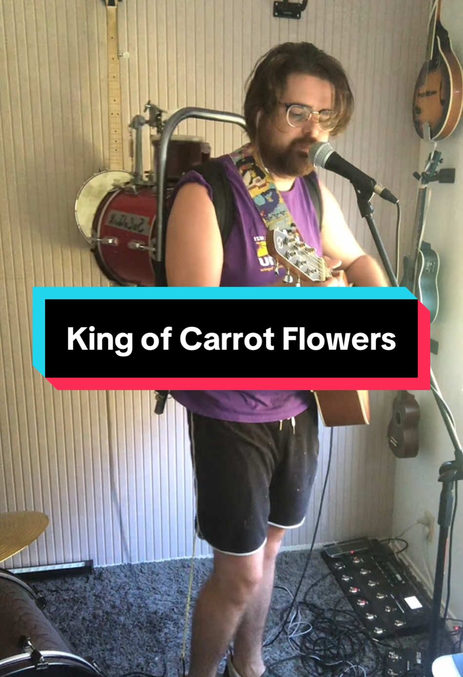 #kingofcarrotflowers #neutralmilkhotel #onemanband #backpackdrum #musiciantiktok 