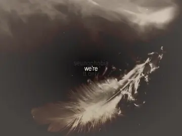 phoenix #phoenix #straykids #skz #lyrics 