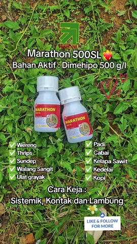 Hama ikut lomba Marathon... tapi lawannya insektisida MARATHON! 💨  Baru lari 3 langkah, langsung jatuh satu-satu🐛🪲🦗 🤣 Tanaman aman, panen tenang! #MarathonBukanSembarangLomba #InsektisidaLucu #PetaniHappy #fotolive #bismillahfyp 