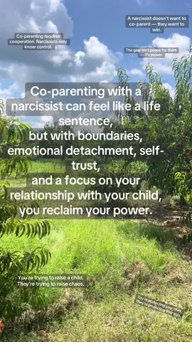 The narcissist isn’t trying to co-parent. They’re trying to control, confuse, and exhaust you, even if it hurts the child in the process. #narcissisticabuse #emotionalabuse #MentalHealth #healingtiktok