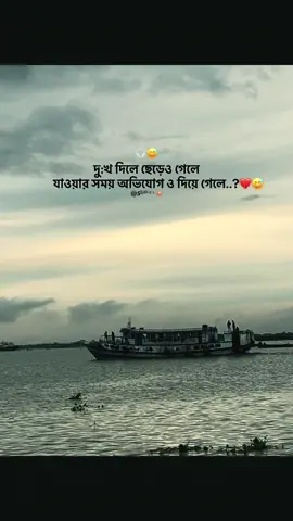 দু:খ দিলে ছেড়েও গেলে যাওয়ার সময় অভিযোগ ও দিয়ে গেলে..?💔😅#foryou #foryoupage #bdtiktokofficial #unfrezzmyaccount #100k @TikTok Bangladesh 