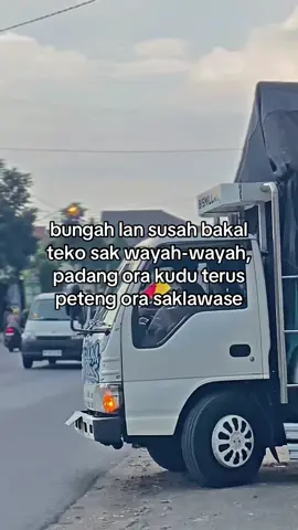 syukuri mawon😇#newpratamatrans #putraharapan #foryoupage #jowopride 