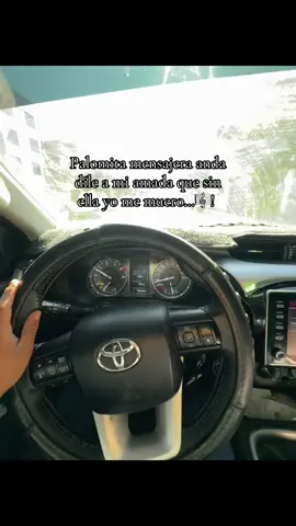 🤍 #palomita #tiktok #milderore #recuerdos #fypシ゚ #paz 