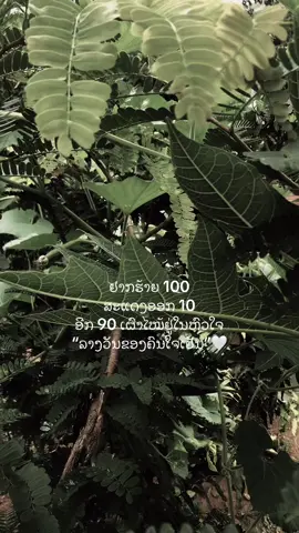 #เทรนด์วันนี้ #ບໍ່ມີຄົນກົດກະຊິລົງ #วีวบ้านนอก🍃 #ສະຕໍຮີ___ຄວາມຮູ້ສືກ🖤🥀 #fypシ 
