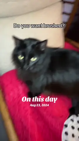#onthisday 