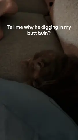 #diginyobutttwin 