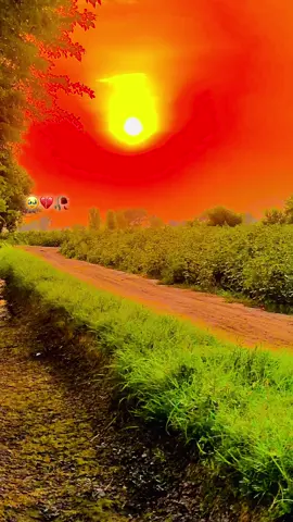 🥹💔❤️‍🩹🥀#میرا_سوہنا_شہر_مروٹ🌱✌️ #dont_underview_my_video #foryou #foryoupage #fypシ゚viral #unfrezzmyaccount 