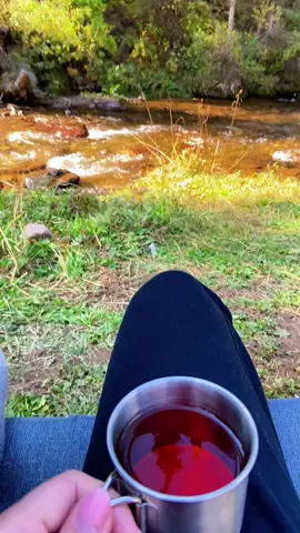 ☀️ Такое утро хочется растянуть навсегда… Чай, тишина, речка и еловый аромат на плато Асы 🌿 Если тоже мечтаешь сбежать из города — сохраняй и вдохновляйся! 👇 Поставь ❤️, если тоже любишь такие моменты 💭 #платоасы #утронаплато #чайнаприроде #slowmorning #тишина #речка #ассы2025 #природалечит #relaxvibes #утровгорах #казахстанкрасивый #филингс