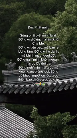 🪷🪷🪷#phatphapnhiemmau #cobehocphat #hocphatmoingay #hocphatmoingay #tutaptaigia🍀 