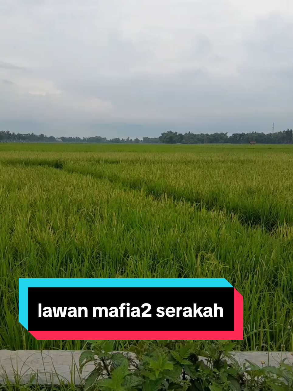 ngerinya negeriku ini,byk di kuasai manusia2 serakah,bahkan keadilan aja bisa di beli #mirisnyanegeriku #mafia #keadilanharusditegakkan 