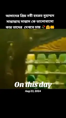 #onthisday #hashtag #video #এই সেই ভিডিও যেটা ফরইউ তে আছে.! 🥀🥰