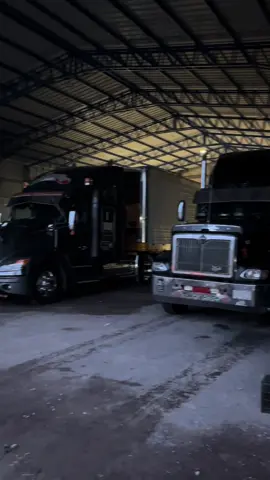 #trailerosmexicanos🇲🇽💯😎 #tortoneros_☕🐽🚛                     #mamalona #trokerosdela57 #surestemexicano🇲🇽💊           #algobellopalcamello🐫💵 #paratiiiiiiiiiiiiiiiiiiiiiiiiiiiiiii #fly 