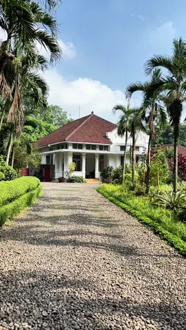 POV: Sabtu pagi di rumah oma di Buitenzorg 😊 🍀🌿🌸 #bogor #artdeco #bogorhits #bogordailynews #fyp 