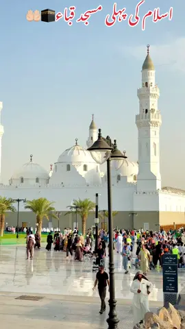#ظہیر #ڈرائیور_گروپ_مکہ_مدینہ #bus_driver_makkah_madina #100kflowers_bus_driver_ksa 