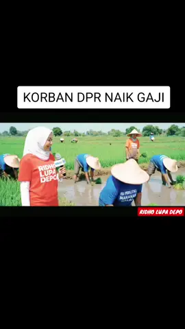 KORBAN DPR NAIK GAJI #fyp