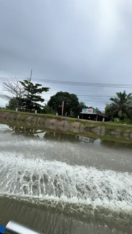 Lâu quá không xuống võ bào 😆#suhuongtiktok #suhuong #94baclieu #anhemmiensongnuoc #volaimientay 