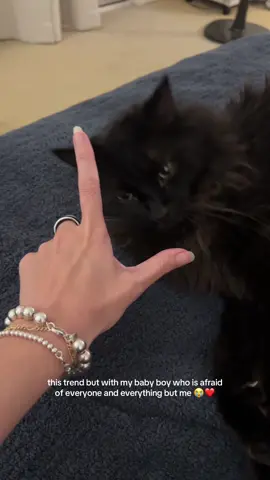 he’s my only cat who would NEVER attack me I’m his actual MOTHER