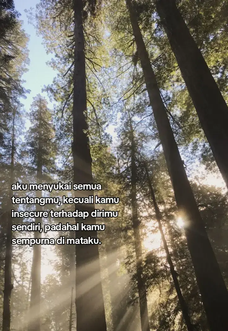 Alat Gunting, yakni alat yang digunakan untuk memotong bahan-bahan yang akan digunakan Pisau, yaitu alat yang berfungsi untuk memotong bilah-bilah bambu Kuas, yaitu alat yang digunakan untuk mewarnai layang-layang. ADVERTISEMENT Bahan Bambu, yaitu bahan yang berfungsi sebagai kerangka layang-layang Kertas tipis putih, yaitu bahan yang akan digunakan untuk menjadi alas dari badan layang-layang. Benang, yakni bahan yang digunakan untuk merekatkan dan menerbangkan layang-layang. Tali, yaitu bahan untuk mengikat stik-stik bambu yang digunakan dalam membuat kerangka layang-layang. Bahan pewarna, seperti cat air atau pewarna lain yang digunakan untuk menghias layang-layang Lem, yakni bahan untuk melekatkan alas layang-layang dan kerangkanya Cara Membuat Layang-Layang 1. Membuat Kerangka Langkah pertama adalah membuat tanda salib dengan mengambil stik bambu sepanjang 50 cm dan letakkan pada stik sepanjang 60 cm sehingga membentuk tanda salib. 2. Rekatkan Kerangka Rekatkan kedua stik bambu memakai benang atau lem. Pastikan kerangka telah direkatkan dengan baik. Untuk membuat kerangka terpasang dengan kokoh, bubuhkan lem pada persilangan kedua stik dan tekan sehingga melekat erat dan tidak geser. 3. Hubungkan Semua Ujung Kerangka Langkah selanjutnya adalah menghubungkan semua ujung kerangka dengan tali atau benang yang diikatkan pada bagian ujung kerangka. Pastikan tali atau benang terikat dengan pas. Ingat, jangan mengikat benang atau tali terlalu erat atau kencang untuk menghindari kerangka bengkok atau miring. 4. Membuat Rancangan Alas Layang-Layang Setelah kerangka telah dibuat, langkah berikutnya adalah membuat alas untuk kerangka. Membuat alas layang-layang dapat dilakukan dengan mudah. Cara pertamanya adalah meletakkan kerangka di atas plastik atau bahan yang ingin digunakan untuk menjadi alas dari layang-layang. Selanjutnya, buatlah garis bayang yang akan digunakan untuk menjadi panduan nantinya. 5. Potong Alas yang Telah Dibuat Setelah itu, buatlah garis bantu dengan jarak 10 cm dari garis yang telah dibuat sebelumnya. Selanjutnya, potong garis bantu tersebut hingga membentuk layang-layang. 6. Rekatkan Alas dengan Kerangka Langkah selanjutnya adalah dengan merekatkan alas yang telah dibuat dengan kerangka bambu tersebut. Lipat pinggiran layar pada kerangka dan rekatkan sampai kuat dengan lem. 7. Memasang Benang Layang-Layang Siapkan benang dengan panjang minimal 50 cm agar dapat menerbangkan layang-layang. Selanjutnya, buatlah lubang kecil persis di atas pertemuan kedua bambu memakai gunting atau alat pemotong. Setelah lubang dibuat, tariklah satu ujung benang melalui lubang dan ikatkan dengan erat pada titik pertemuan kedua bambu. Benang-benang pun telah siap. 8. Buat Ekor Layang-Layang Jika badan layang-layang telah selesai dibuat. Tambahkan ekor pada bagian bawah layang-layang dengan menggunakan sisa bahan untuk alas untuk memperindah layang-layang. Cara membuatnya adalah gunting bahan sesuai keinginan. Sambungkan ekor ke ujung bawah kerangka dengan cara melilitkan beberapa simpul sebelum mengikatnya dengan kuat. 9. Hias Layang-Layang Ketika layang-layang telah selesai dibuat, hiaslah layang-layang tersebut dengan cara mewarnai menggunakan pewarna atau membuat pola menarik sesuai dengan keinginan. 10. Uji Coba Layang-Layang Langkah terakhir adalah mencoba menerbangkan layang-layang yang telah dibuat. Apabila tidak terjadi masalah, maka layang-layang pun sudah bisa dimainkan. Begitulah cara membuat layang-layang dari bambu dengan baik. Selamat mencoba! #fypage #lewatberanda #beranda #4u 