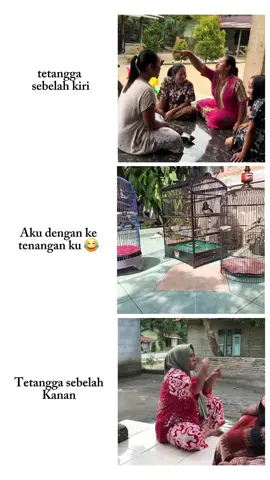 ben dinaku #realkehidupan #kucaumanianusantara 