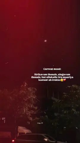 🫠❤️‍🩹 #fypppppppppppppp #viral #100k #คัตตี้ปายย่า #nivyy 