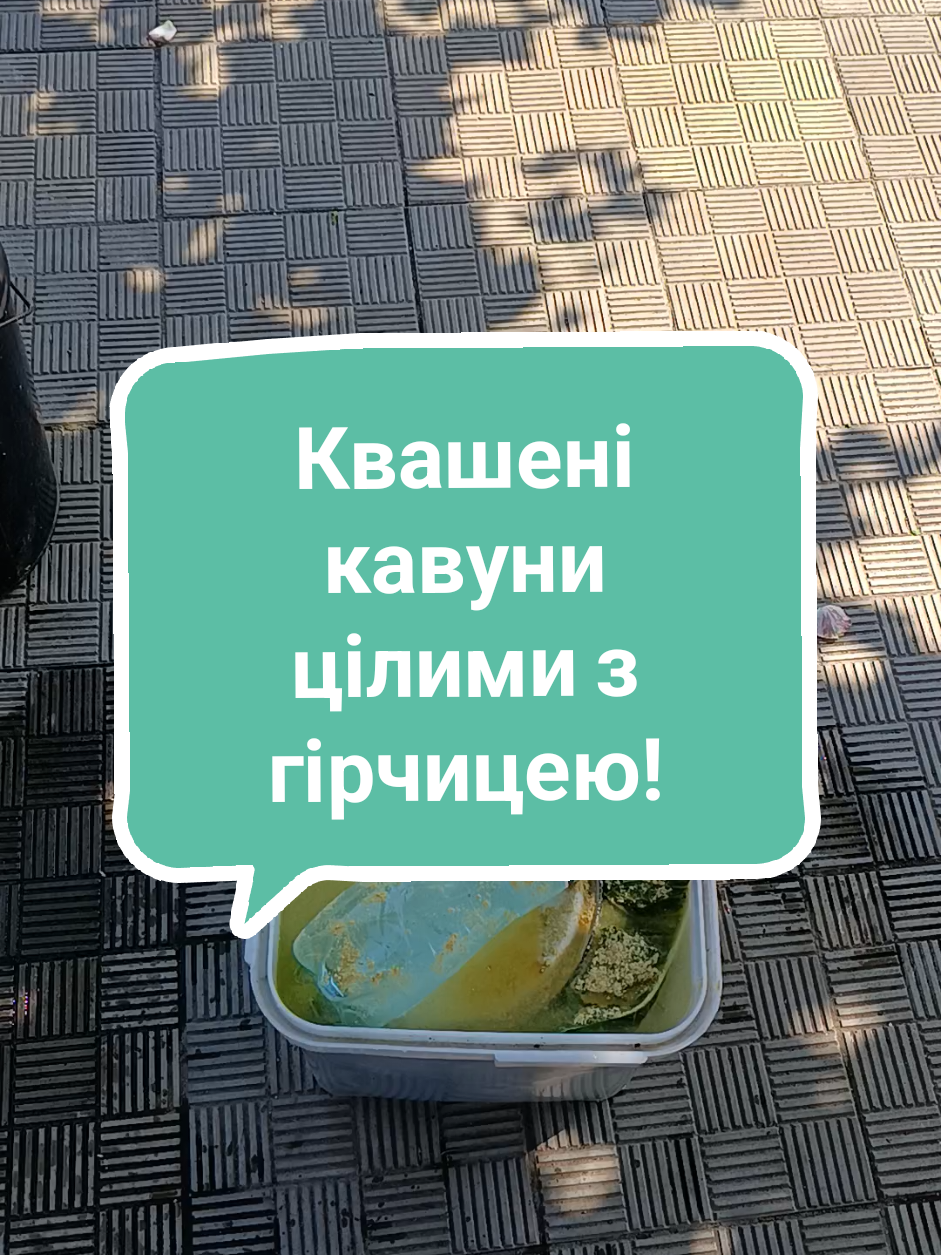 ‼️Кавуни вирощені на городі,заправляю і в погріб, через два три місяці будем смакувати.‼️#СлаваУкраїні #Українськіновини #Рецепт#Українськіновини #Київ 