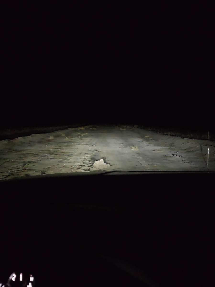 Its lonely out here.  #2025 #alien #ice #fyp #darkhumourandjokes 