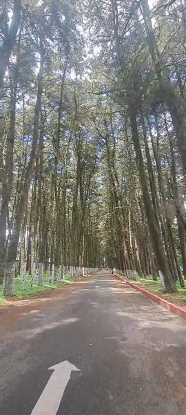 #musica #terapia #naturaleza #paisajes #momentos 