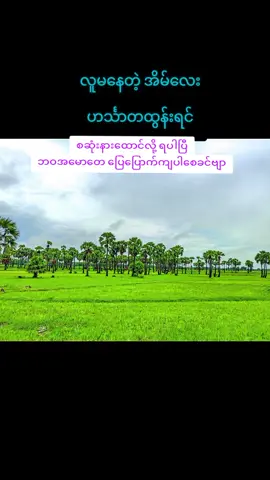 #အားပေးမဲ့သူမရှိကြဘူးလား😞 #အညာမြေ #ဒီတပုဒ်တော့fypပေါ်ရေက်ချင်တယ် #fyp #မြန်မာသံစဥ်များကိုချစ်မြတ်နိုးသူ 