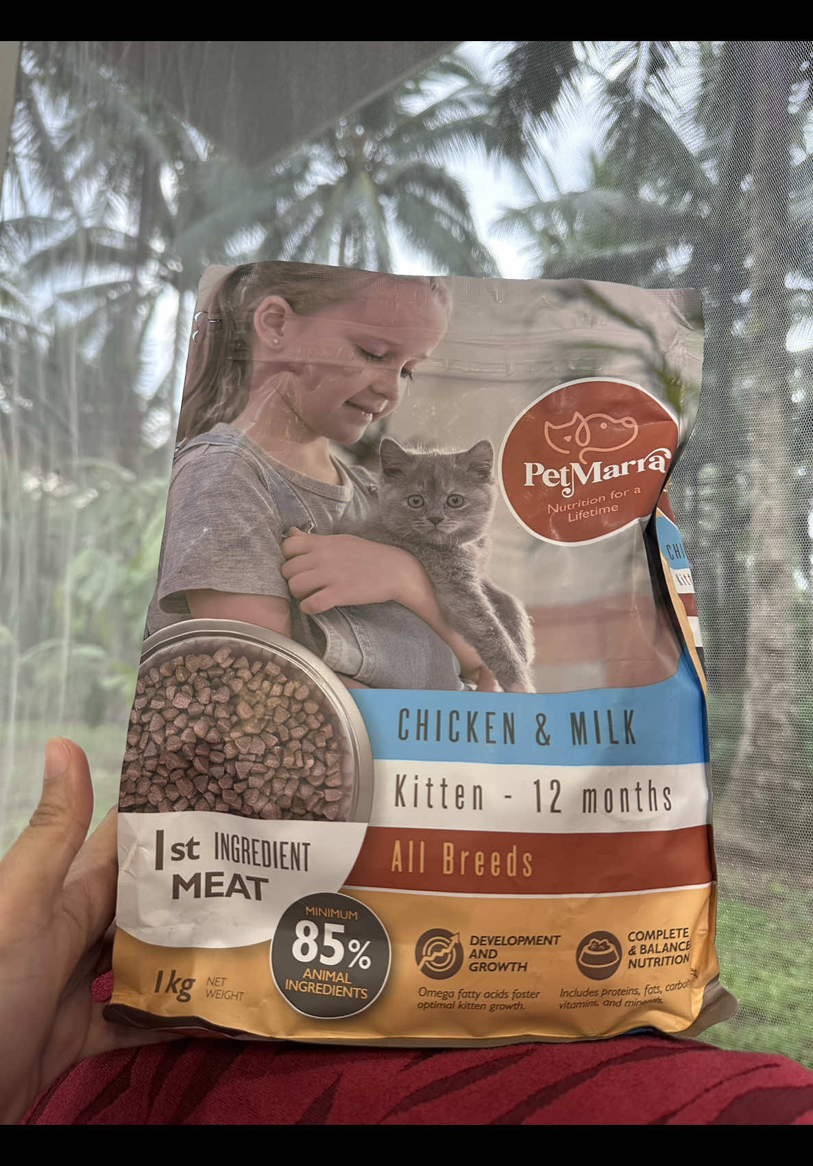 Replying to @dale 💌 #petmarra #catfood #catowner #misswiss 