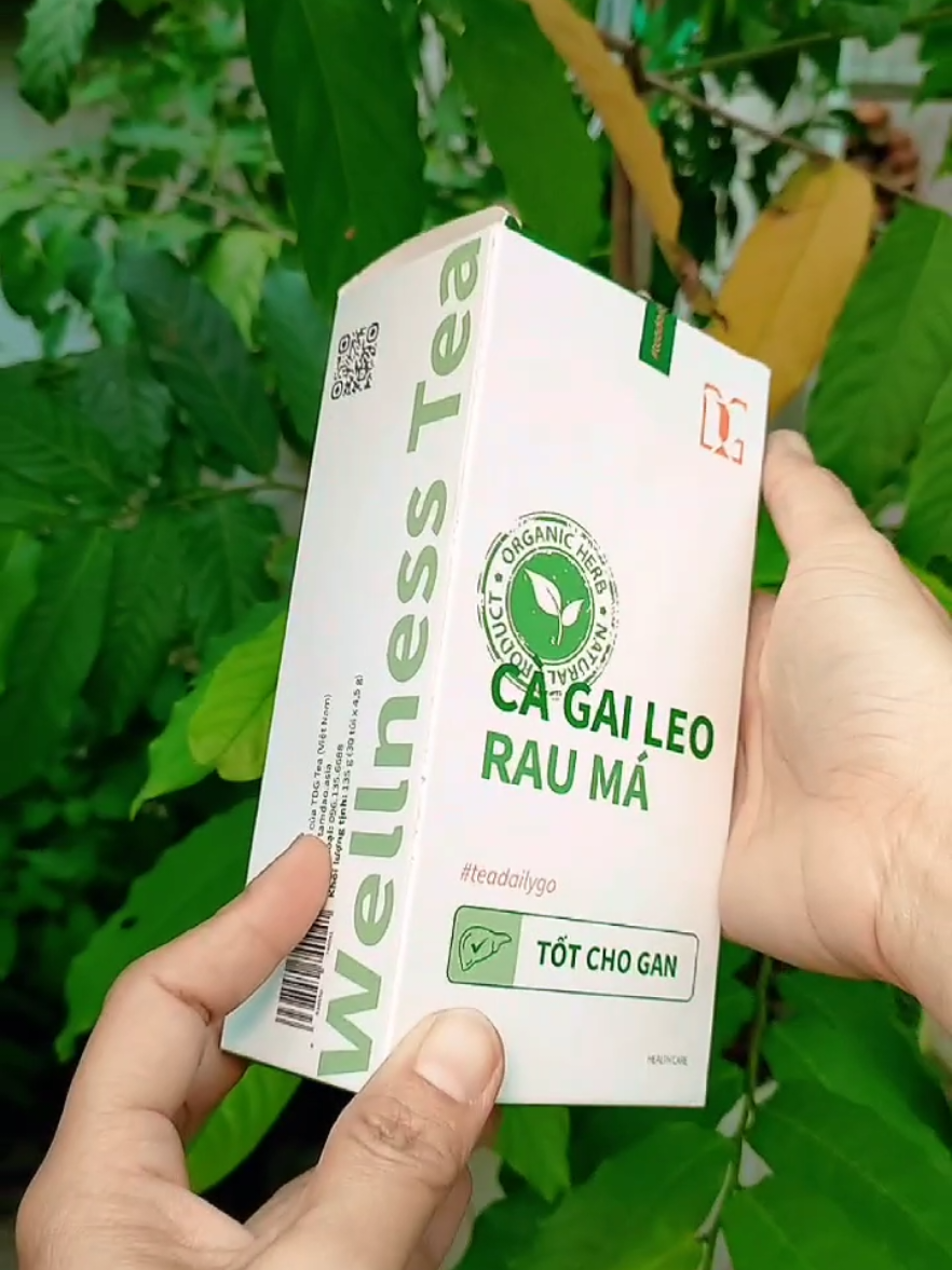 TRÀ CÀ GAI LEO RAU MÁ (Tâm Đạo Quán)  #cagaileo #thaidocgan #gannhiemmo #mengancao #xuhuong @Xuân Thu 1985 @Xuân Thu 1985 @Xuân Thu 1985 