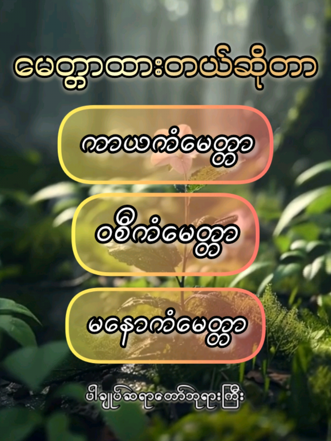 မေတ္တာထားတယ်ဆိုတာ (ကာယကံမေတ္တာ) (၀စီကံမေတ္တာ) (မနောကံမေတ္တာ) ပါချုပ်ဆရာတော်ဘုရာကြီး  အဆုံးမတရားနာယူကြပါရန် #ပါချုပ်ဆရာတော်ဘုရာကြီး🙏🙏🙏 #တရားတော်များ #တရားနာယူချင်းဖြင့်စိတ်အေးချမ်းပါစေ🙏🙏🙏 #တရားတို #တရားတိုများနာကြားပါ 