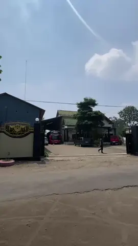 rilis bolo